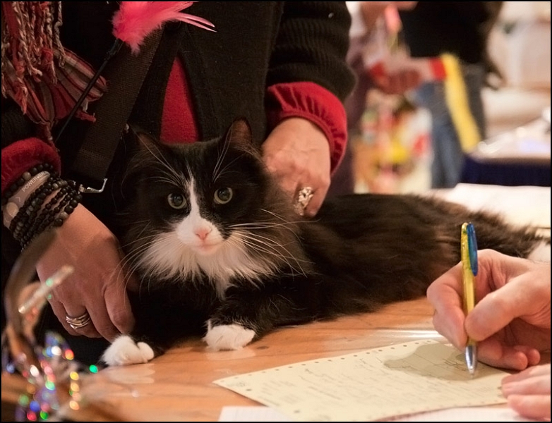 Shira de Tsavo 2.jpg - Shira de Tsavo